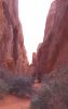 PICTURES/Arches National Park/t_Arches5.jpg